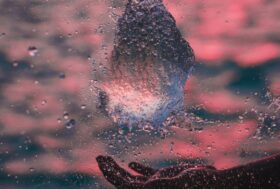 Photo by Javardh on Unsplash