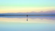 Photo by Pepe Reyes on Unsplash|||Figure 3: Participants and reflected topic|Participant voice identifying the eight studio habits