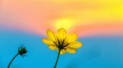 Photo by Tanzim on Unsplash