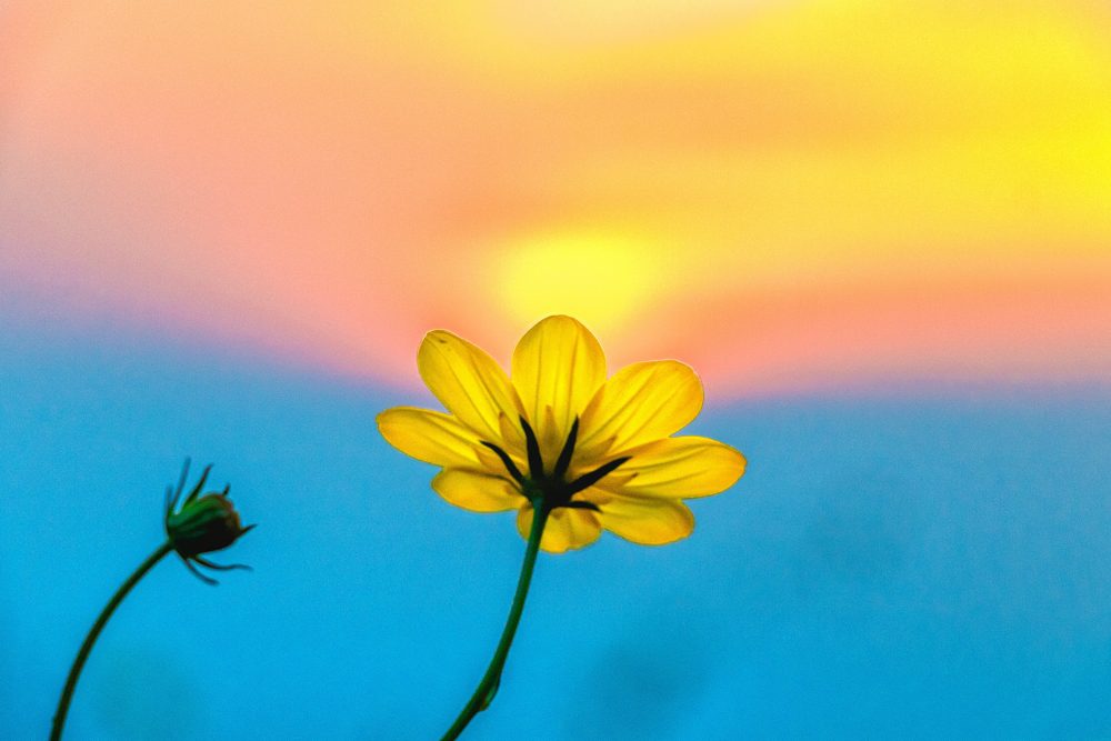 Photo by Tanzim on Unsplash