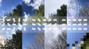 8 photos of the same tree taken at different times of the year in 2 rows of 4, the last photo is highly pixelated. A pattern of random white blocks run across the image from the left and become aligned on the right.