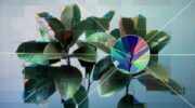 A photographic rendering of a young houseplant against a neutral background, seen through a refractive glass grid and overlaid with an single neuron from a neural network diagram.